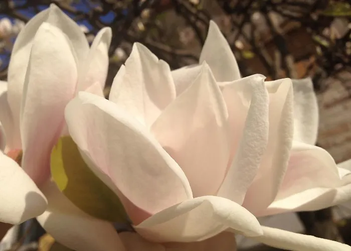 Casetta Randi 26 3* 라벤나