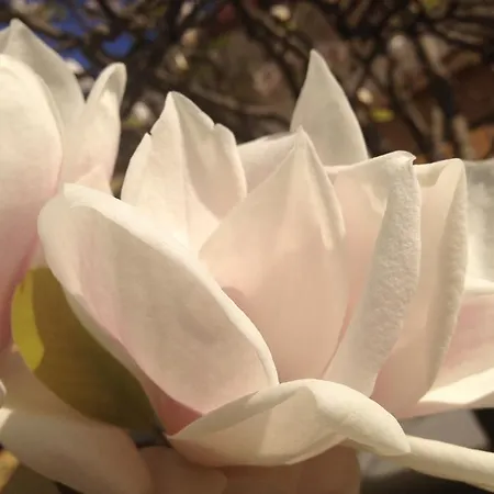 Casetta Randi 26 3* Rávena